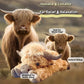 🥳 Mega-Ausverkauf 60 % RABATT 🎁Süßes Cartoon-Highland-Kuh-Kuscheltier🔥Kaufen Sie 2, Versandkostenfrei